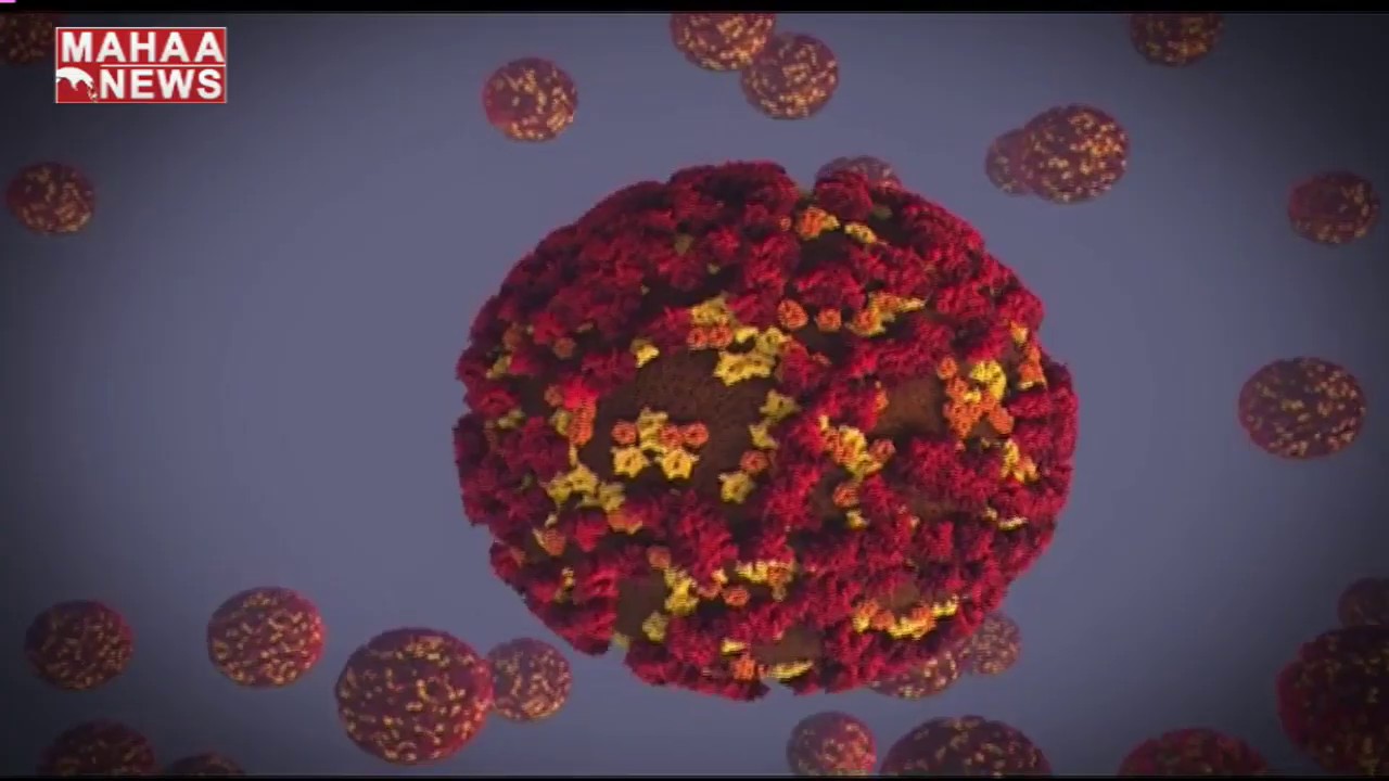 Graph Of Coronavirus Effect Around The World | MAHAA NEWS