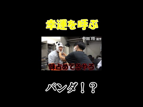 幸運を呼ぶ！ジャイアンツパンダショウショウキャップ✨