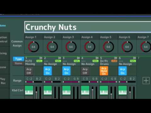 MONTAGE Phat Analog By EASY SOUNDS