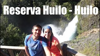 Llegamos a Huilo-Huilo y es MARAVILLOSO!! | Huilo - Huilo #1 | VxF