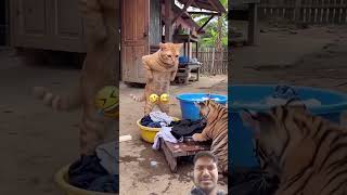 shares fungus tech 🤣🤣 video comedy #comedy #shortvideo #vikramvibes #funny #fun #realfools #reels