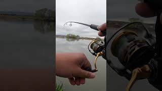 Me And My Dog Vs The Trout 🎣