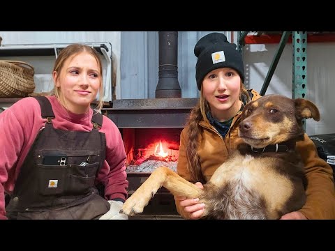 The Tractor is Gone! Temperatures are Dropping Fast and THE DOGS ARE'NT HAPPY 👀 thumbnail