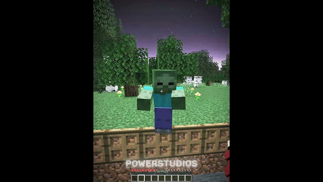 Minecraft