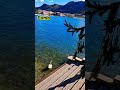 Lacul Como #lebede #como #italia #bellaitalia #travel #traveller #trip #calatorii #swan #holiday