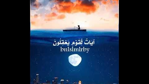 حالات واتس قران كريم  (وَيْلٌ لِّكُلِّ أَفَّاكٍ أَثِيمٍ) #القارئ_محمد_اللحيدان