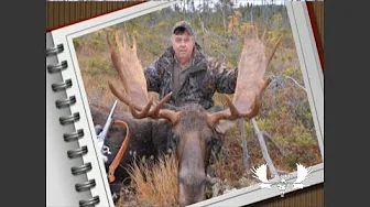 Bills Newfoundland Moose