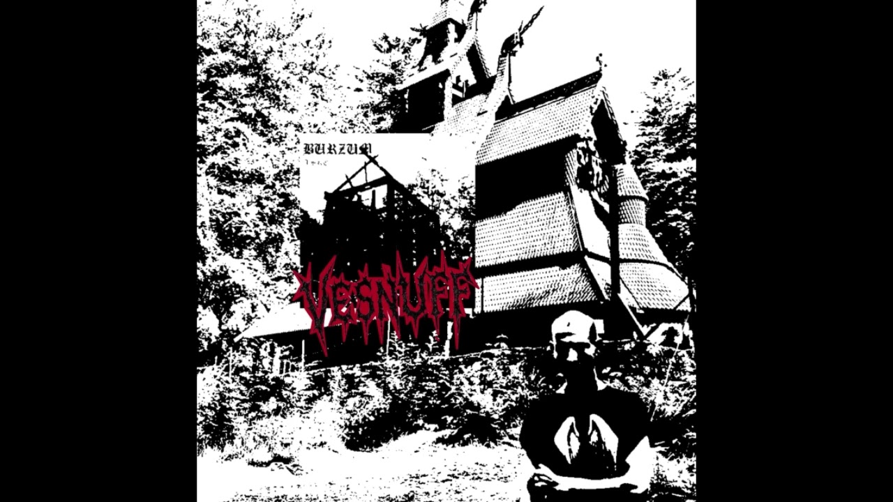 Lost Wisdom | BURZUM cover | Vesnuff