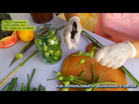 Video: Kuidas valmistada talveks maitsvat peedikaaviari