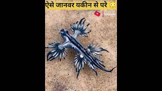 3 अजीब जानवर जिनपर यकीन करना मुश्किल है 😱 | Weird Animals Facts in Hindi #shorts #facts
