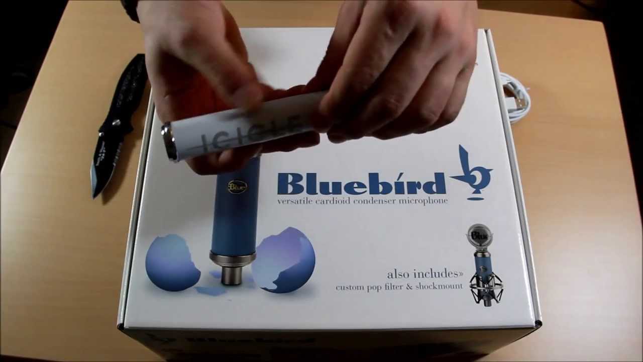 Blue BlueBird Unboxing