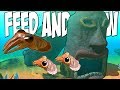 НОВАЯ РЫБКА, НАПЛОДИЛ СТАЮ ОСМИНОЖЕК, ОБНОВЛЕНИЕ | Feed and Grow: Fish