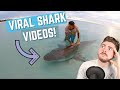 CRAZY Shark Viral Videos: October