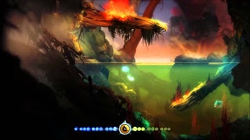 ORI And The Blind Forest water bug solve