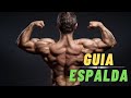 Guía HIPERTROFIA Para ESPALDA I Aumenta MASA MUSCULAR en la Espalda.