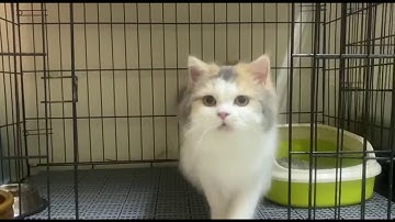 lab Exercise 1. imd226-2020