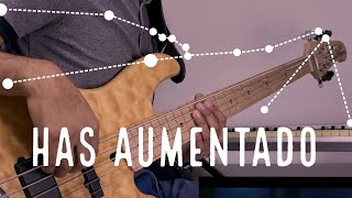 Miniatura de "Has Aumentado - Kike Pavon en Vivo - (Cover Bajo)"