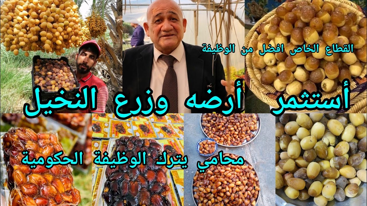 أستثمر بزراعة النخيل  بعد أن ترك الوظيفة الحكومية ليحال على التقاعد  ليمارس  المحاماة واستثمار زراعي