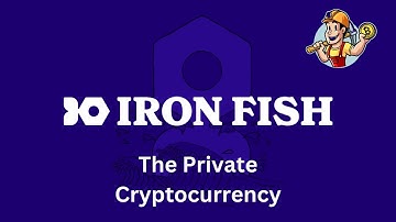 IronFish Update  First 24 Hours