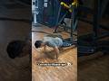 “Can I finish 40 Push-Ups without stopping?👀#pushupchallenge#fitnessshorts#gymmotivation#homeworkout
