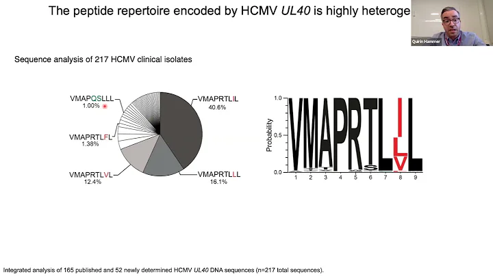 Quirin Hammer: HLA-E restricted peptides control natural killer cell responses