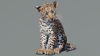 Leopard Cub 3D Model | Rigged & Game Ready