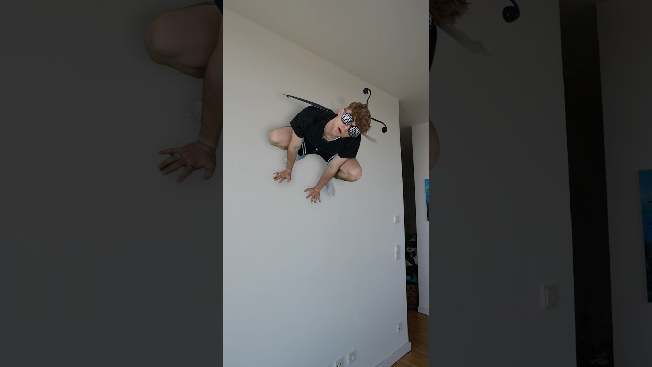 Fliegen im Sommer🪰😂 | Lewinray #shorts