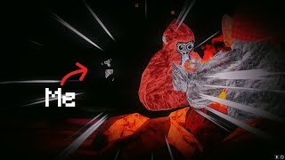 I joined gorilla tag ghost codes…