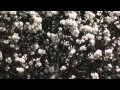 殉-JuN- 月明かりの下で