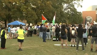 Pro-Palestinian protesters host rally in Moore Square for 3rd straight week