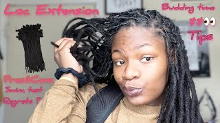 6 Months Loc Extension Update | Pros & Cons | Do they fall out?
