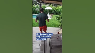 Woman freaked out by ‘alligator’ in her pool