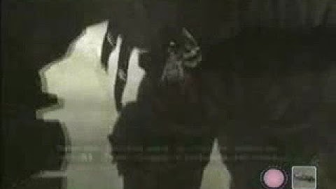 Shadow Of The Colossus Part 2 The First Colossus