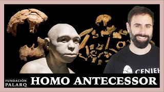 🔹 HOMO ANTECESSOR | Las principales especies de homininos y etapas de la prehistoria