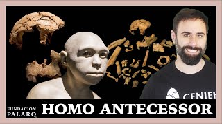 🔹 HOMO ANTECESSOR | Las principales especies de homininos y etapas de la prehistoria