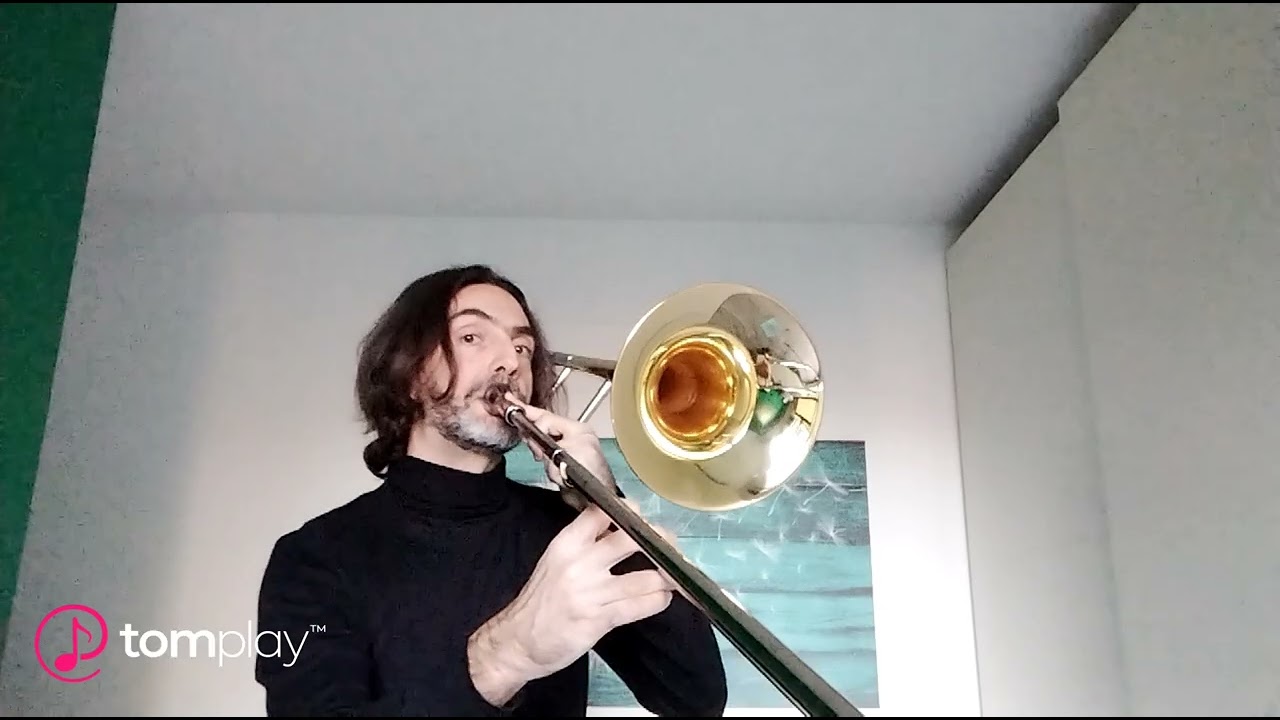 Bach, Gounod - Ave Maria - theCelloBones 