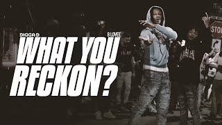 Digga D X B Lovee - What You Reckon?