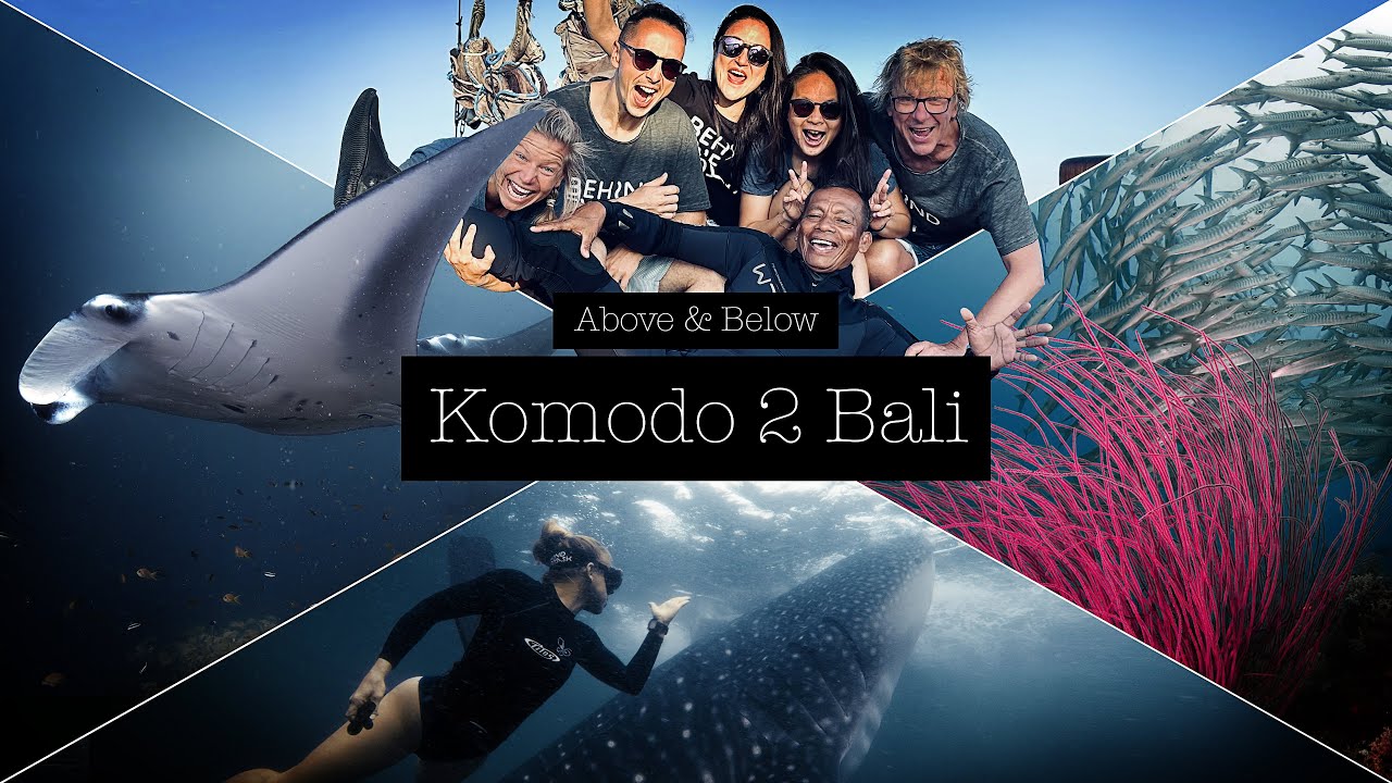 Above & Below - Komodo 2 Bali - Indonesia's diving paradise 🤿