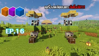 Minecraft เอาชีวิตรอด 1.19.4 EP.16 เครื่องผลิตขนแกะอัตโนมัติ!!!