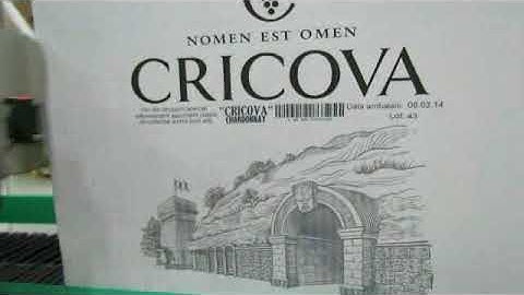 NaNOJET working video