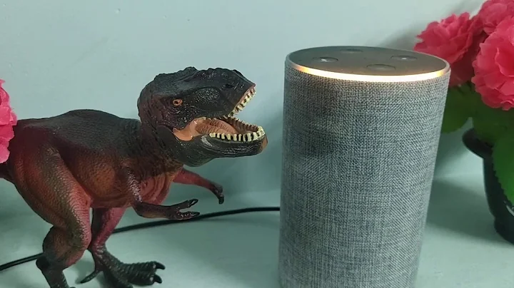 How to Reset Amazon Echo/Echo Show Devices