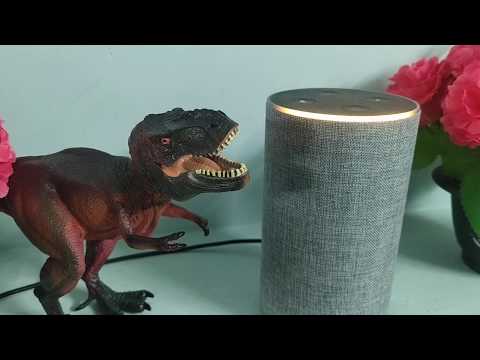 How to Reset Amazon Echo/Echo Show Devices