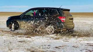 SUBARU FORESTER SJG