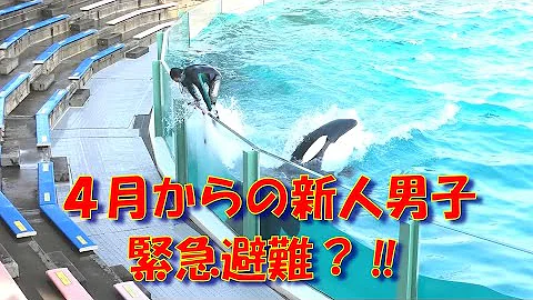 鴨川 Mp3