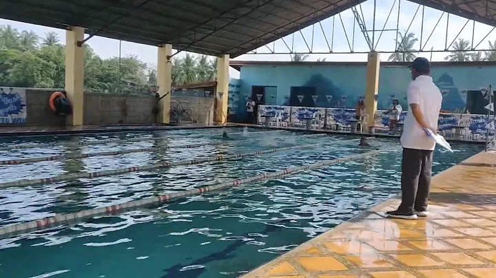 carlo1