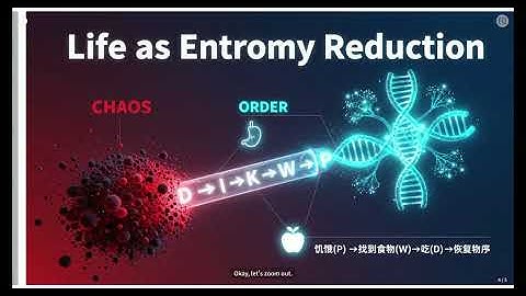 Research on the Role and Theoretical Basis of the DIKWP Model in the Semantic Structure of the Integ