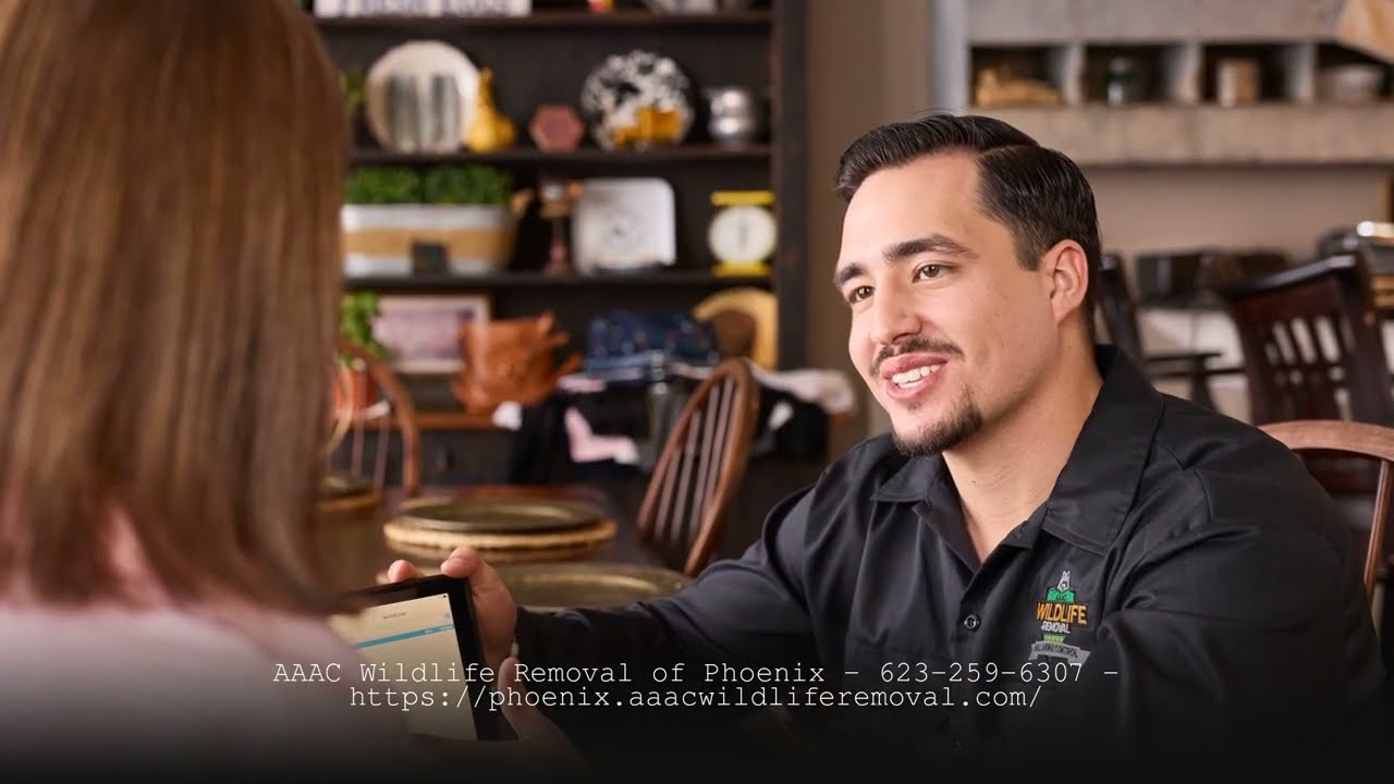 AAAC Wildlife Removal of Phoenix - Squirrel Removal Tempe