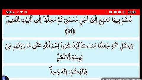 ذلك ومن يعظم حرمات الله فهو خير له عند ربه . سورة الحج بدون صوت . إقرؤوا