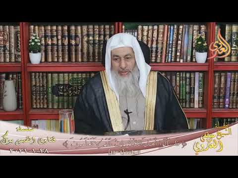 كتاب تاريخ دمشق لبن عساكر الشيخ مصطفي العدوي