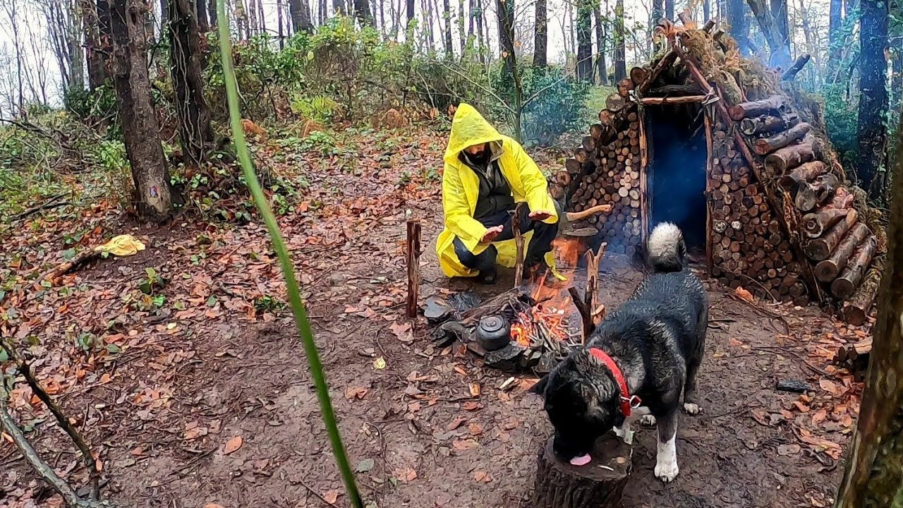Overnight alone in the woods - build bushcraft shelter - Off Grid TINY ...